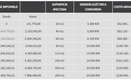 categorias IIBB reg simplificado AGIP 2024